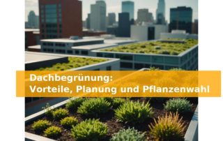 Dachbegrünung: Vorteile, Planung und Pflanzenwahl